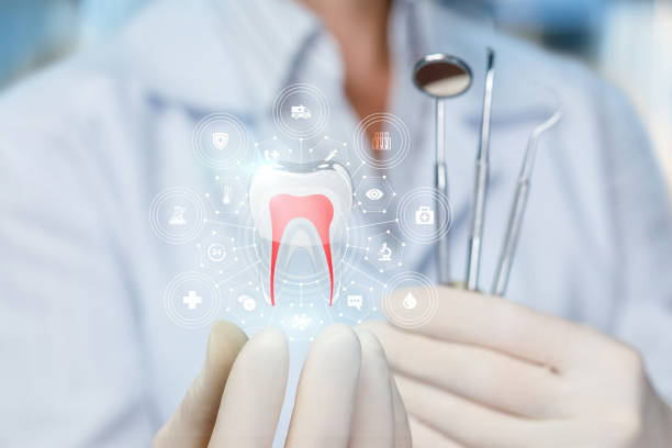 Best Full Mouth Reconstruction  in Safety Harbor, FL